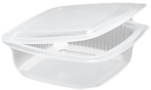 Tarrina con Tapa con Bisagra